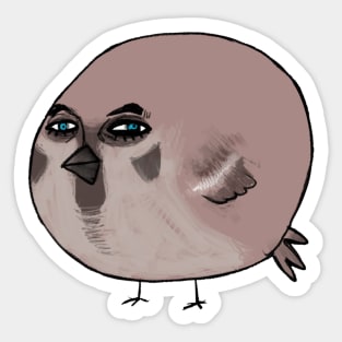 Sparrow Sticker